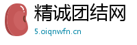 精诚团结网